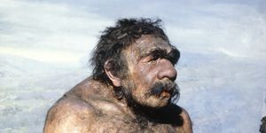 ДНК древних людей проливает свет на появление неандертальцев