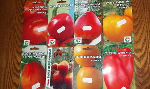 Рассада томатов в домашних условиях – как выращивать вкусные помидоры дома? + Видео