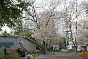 «Твари свисают гроздьями»: нашествие гусениц на Москву вызвало страх