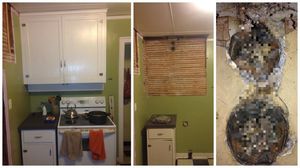 Мужчина решил сделать ремонт на кухне и обнаружил нечто жуткое (7 фото)