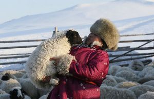 Фотографии о жизни сибиряков: как живут и отдыхают люди на Крайнем Севере (25 фото)