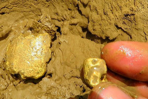 Сколько золота в тонне глины