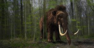 Виноваты болота? Ученые выдвинули новую версию гибели мамонтов и шерстистых носорогов