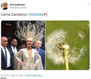 Сеть заполнили смешные мэмы на наряды звезда на Met Gala 2019