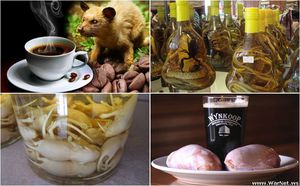 15 самых странных напитков в мире, об ингредиентах которых лучше даже не догадываться (15 фото)