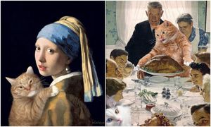 Заратустра – питерский кот, который стал частью шедевров мирового искусства