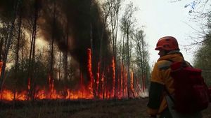 Лесные пожары Якутии обнажили нечто странное!