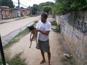 Опытный ветеринар спас и приютил собаку