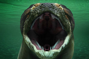 Гигантофис: ископаемый гигансткий удав, который глотал охотился на акул и крокодилов