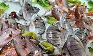 Хек, минтай и еще 3 вида дешевой рыбы, которые полезнее осетрины