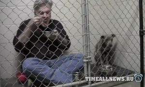 Заботливый ветеринар позавтракал в клетке с испуганной и брошенной собакой