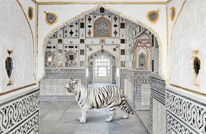 Фото дня: тигр во дворце Шиш-Махал