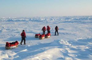 Что находится на Северном полюсе и другие интересные вещи, которые не все знают