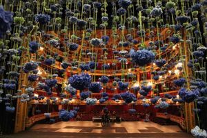 Красочные инсталляции из сотни тысяч живых цветов