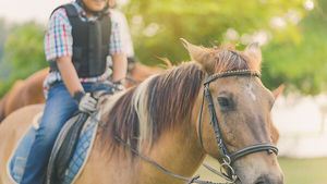 Отдаем ребенка в конный спорт: что нужно знать родителям