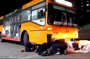 Видео: Пассажиры бросились врассыпную, когда в автобус вдруг залез питон