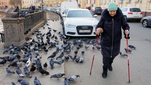 В России меняется порядок получения пенсий по инвалидности