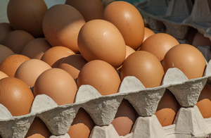 Мифы и правда о потреблении яиц: как правильно дозировать белок в рационе