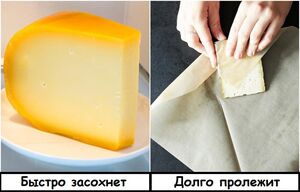 7 продуктов, которые хозяйки хранят неправильно, из-за чего те быстро портятся