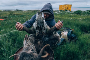 Еда нараспашку: Глаза, мозги, желудки — почему эскимосы едят это
