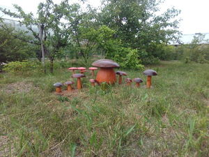 Записки старого ворчуна. Где выращивают грибы