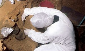 Археологи смогли обнаружить ДНК наших предков в осадочных породах