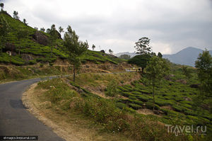 Дорога из Варкалы до Муннара — столицы чайных плантаций Южной Индии