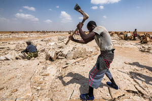Как добывают соль в Эфиопии