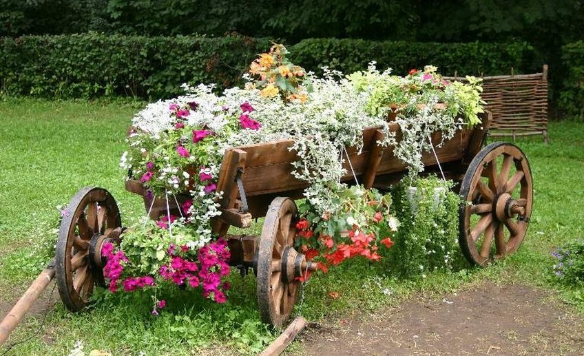 Как красиво посадить цветы в огороде (77 фото)