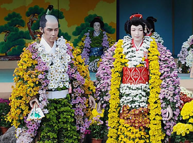Фестиваль хризантем в японии