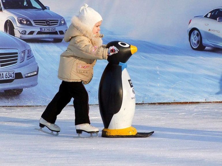 Пингвин на лыжах