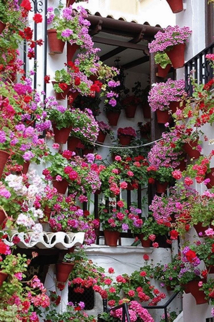Цветы Фото Красивые Дома