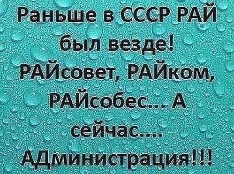 Картинки и фразы смешные