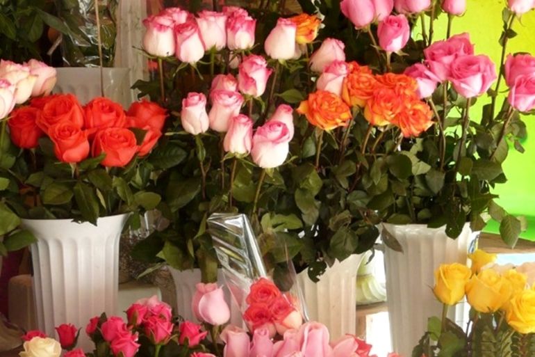 Как выращивать розы из букета в домашних условиях?