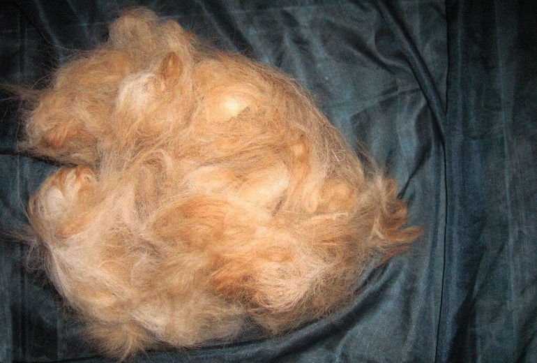 Как сделать пряжу из волос собаки