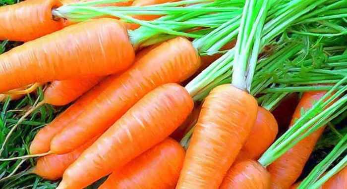 Умный способ посадки моркови без прореживания для хорошего урожая