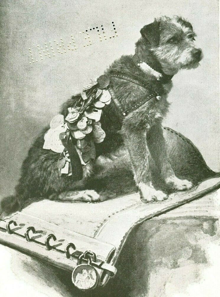 История пса Оуни, заядлого путешественника и безупречного служащего почты