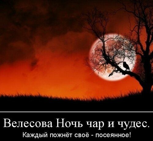 Ночь с 31 октября на 1 ноября сны. scale 2400. Ночь с 31 октября на 1 ноября сны фото. Ночь с 31 октября на 1 ноября сны-scale 2400. картинка Ночь с 31 октября на 1 ноября сны. картинка scale 2400. Ежегодно 31 октября во многих странах мира отмечают Хэллоуин. Это жуткий и одновременно веселый праздник, который отмечается в канун Дня всех святых, а если быть точным, в ночь с 31 октября на 1 ноября. Суеверные люди верят, что в эту ночь снятся вещие сны.