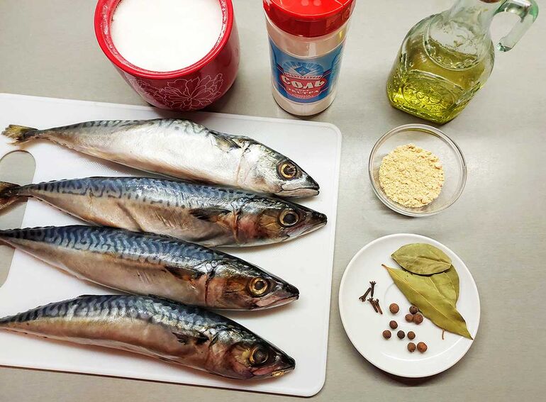 Как засолить скумбрию в домашних условиях: 7 рецептов пряной рыбы
