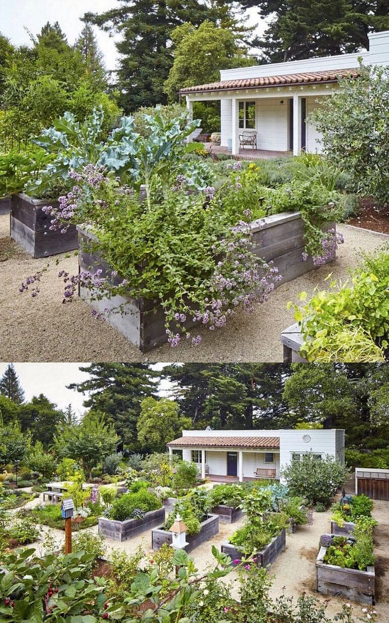 Ландшафт огорода и сада своими руками (47 фото)