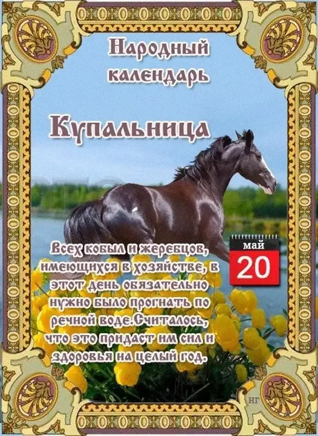 Купальница 20 мая картинки