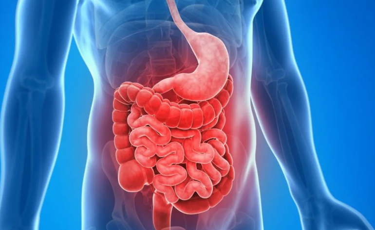 Как синдром раздражённого кишечника связан с психологией