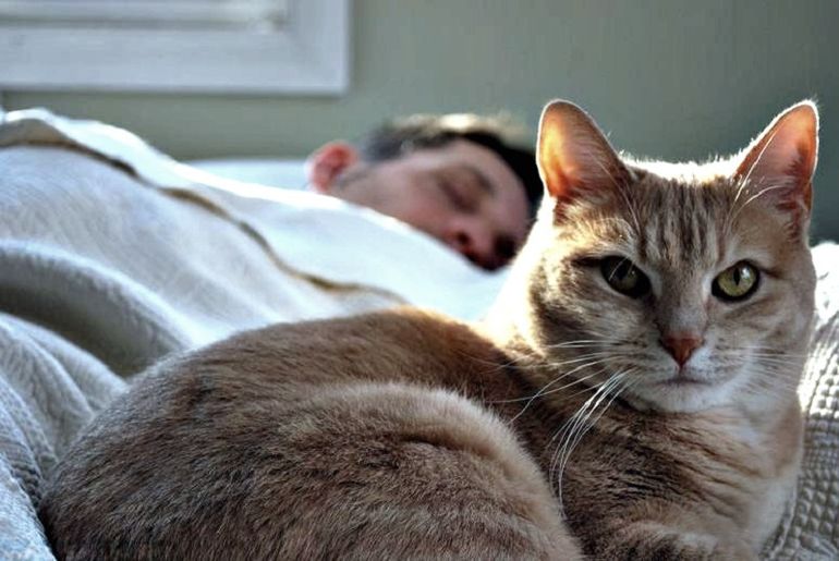 Любимый, нас ждет спальня! 11 полезных привычек перед сном, которые помогут сохранить любовь.