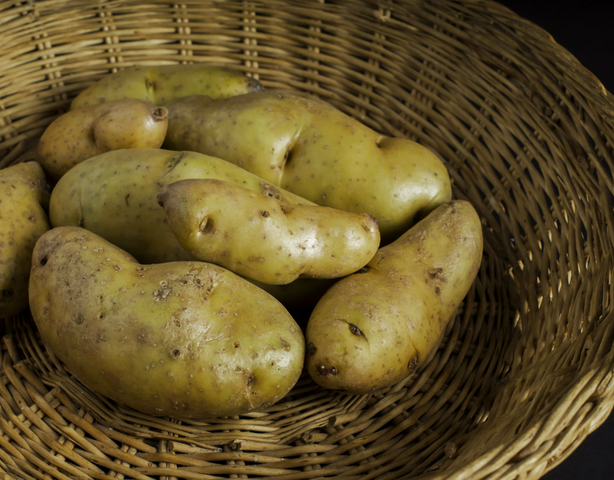 ​Почему привычные овощи могут быть опасны: что нужно знать о паслёновых