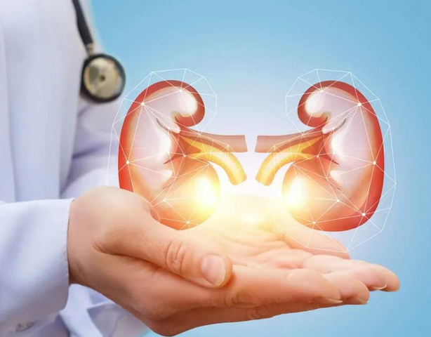 Как сохранить здоровье почек