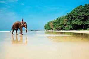 Андаманские острова — роскошный отдых в необычном месте