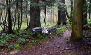 В Швейцарии создан дрон, способный искать заблудившихся в лесу людей