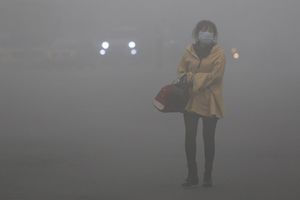 Загрязнение воздуха убивает 5,5 миллиона человек в год