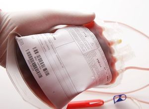 Как можно стать донором крови?