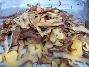 ира_пичурова: Картофельные очистки — лучшее удобрение для смородины.  